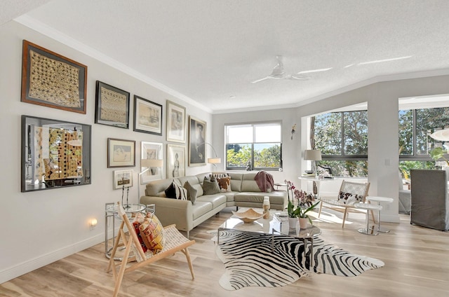 living room with crown molding, ceiling fan, a textured ceiling, and light wood-type flooring