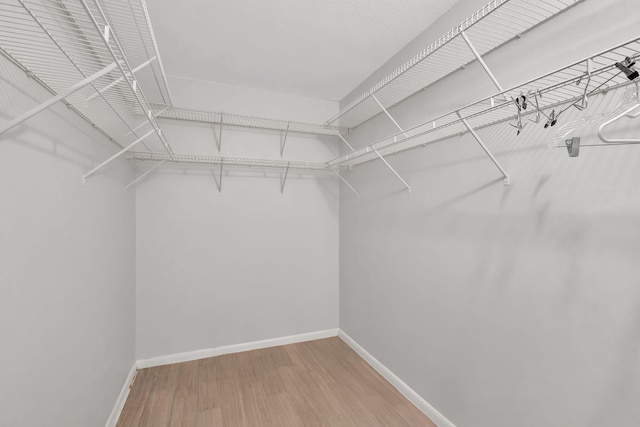 spacious closet featuring wood finished floors