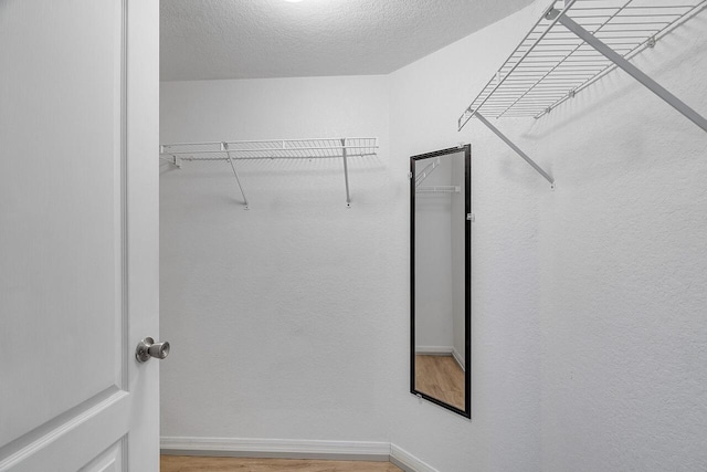 spacious closet featuring wood finished floors