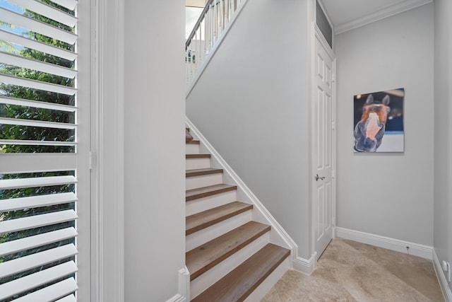 staircase with crown molding