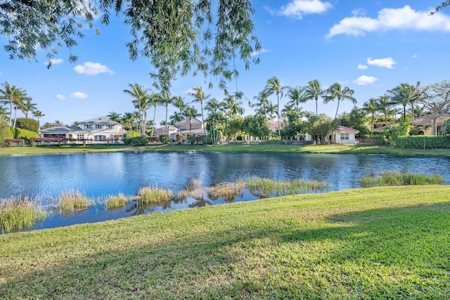 property view of water