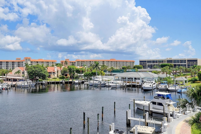 water view with a dock