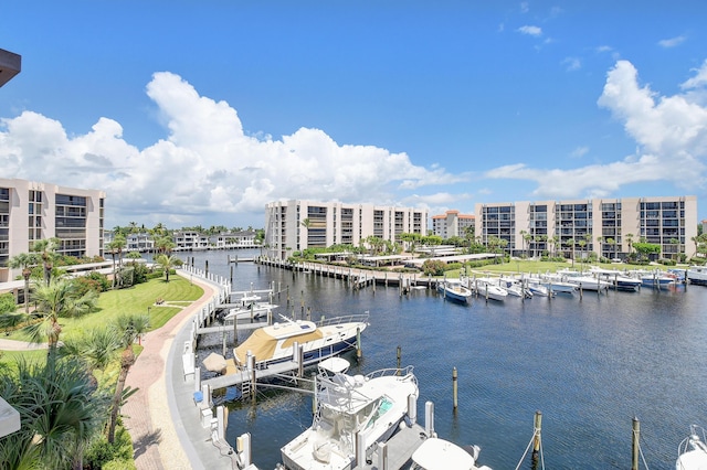 water view featuring a boat dock