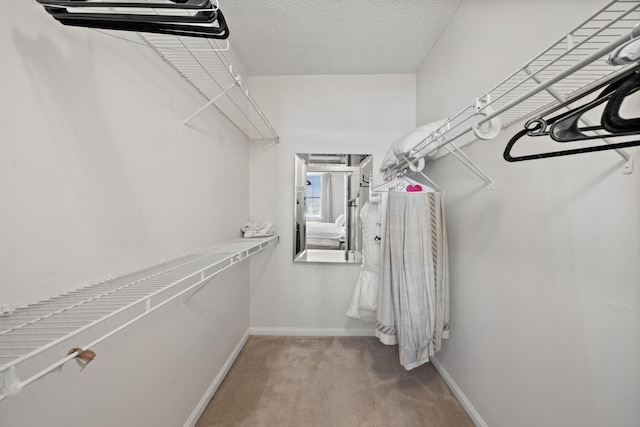 spacious closet featuring carpet floors