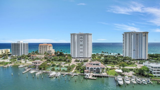 aerial view with a water view