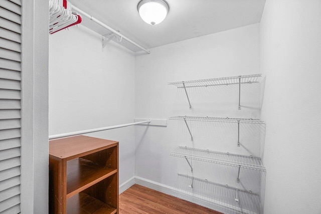 walk in closet with wood-type flooring