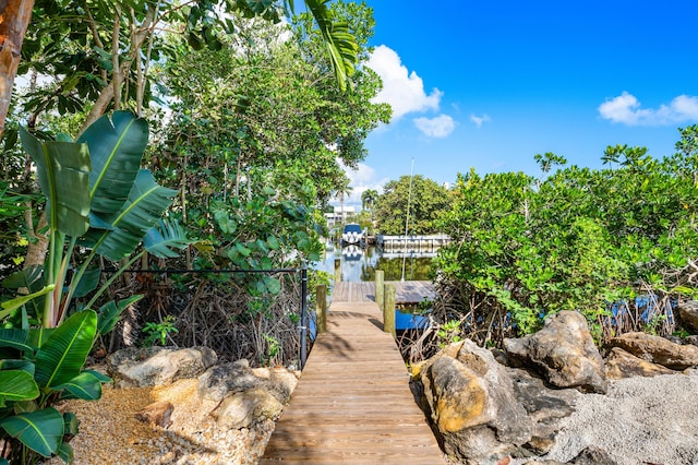 dock area featuring a water view