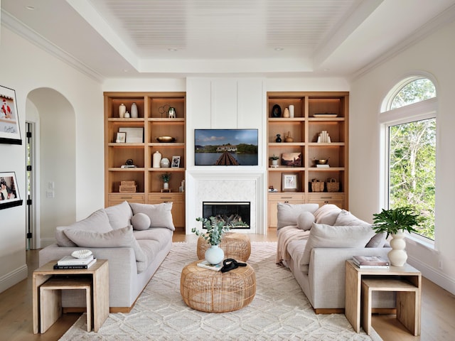 living room featuring a healthy amount of sunlight, a raised ceiling, and light hardwood / wood-style floors