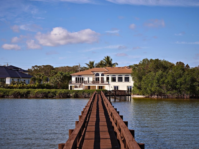 dock area with a water view