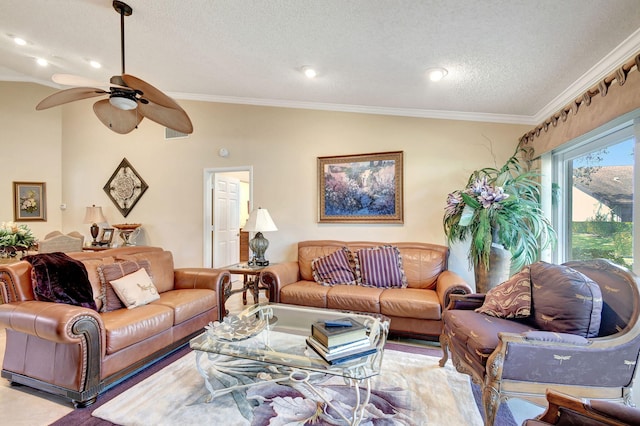 living room featuring ceiling fan, ornamental molding, and a textured ceiling