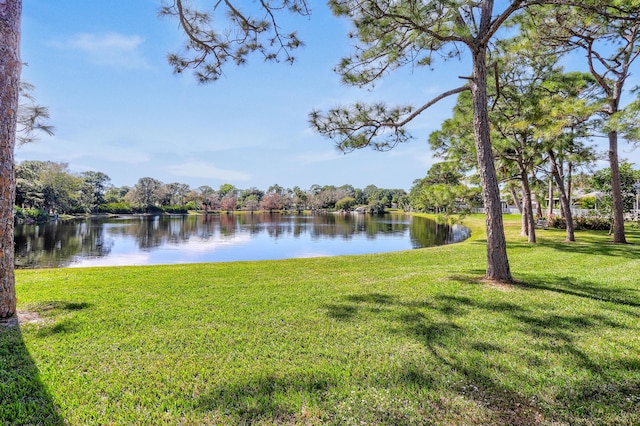 property view of water