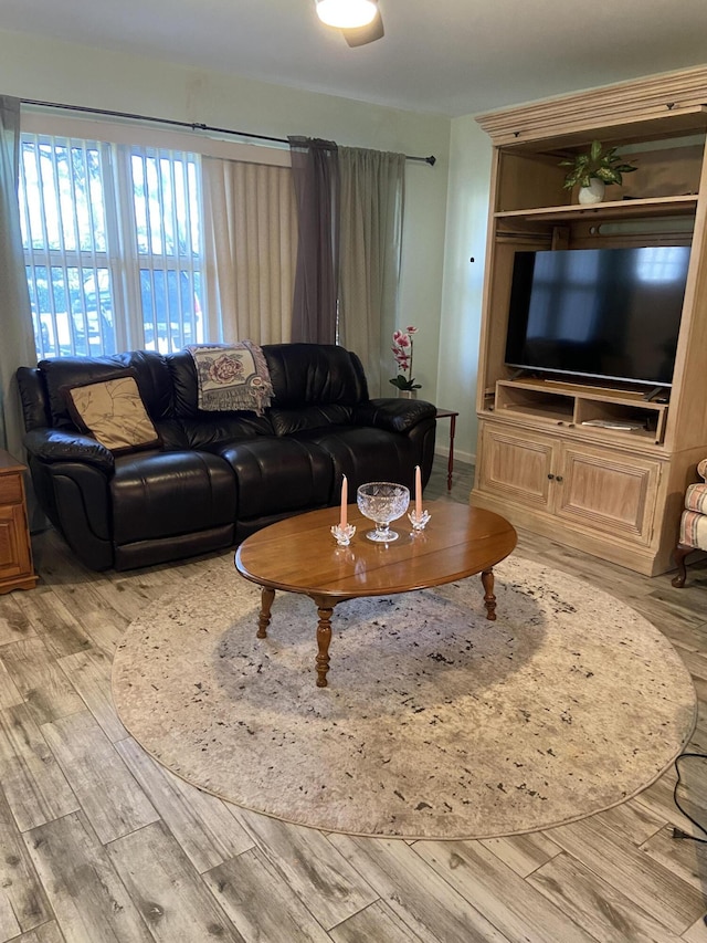 living room with light wood-type flooring