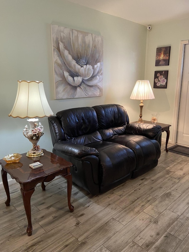 living room with hardwood / wood-style flooring