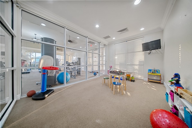 rec room with crown molding