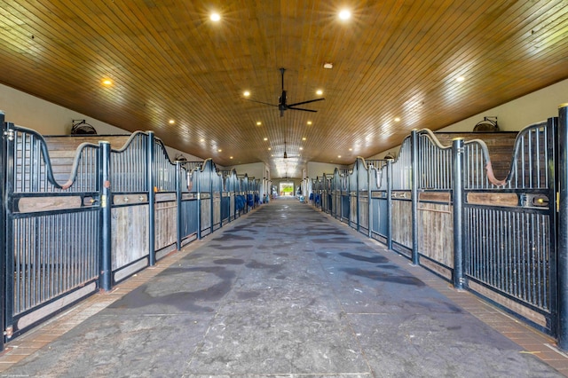 view of horse barn