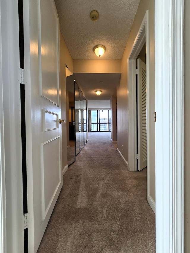 hall featuring carpet floors and a textured ceiling