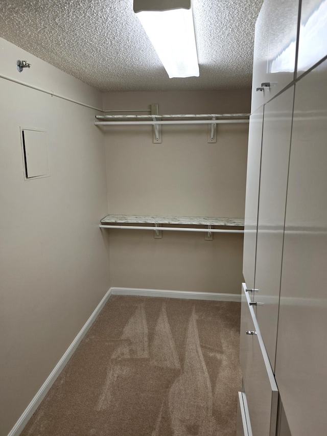 walk in closet featuring carpet