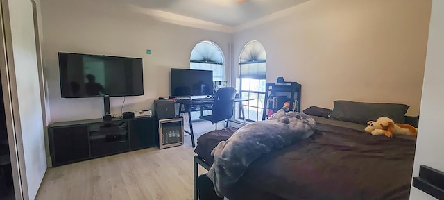 living room with light hardwood / wood-style flooring