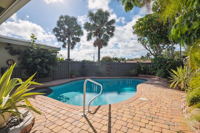 view of swimming pool featuring a patio