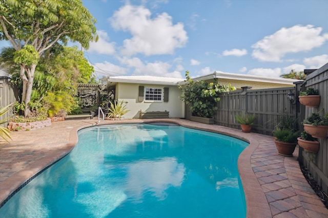 view of swimming pool featuring a patio