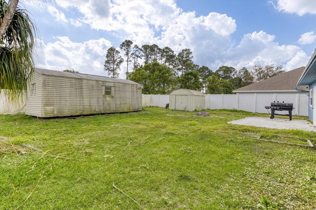 view of yard featuring a patio and a storage unit