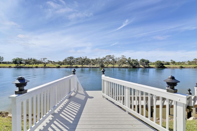 dock area with a water view