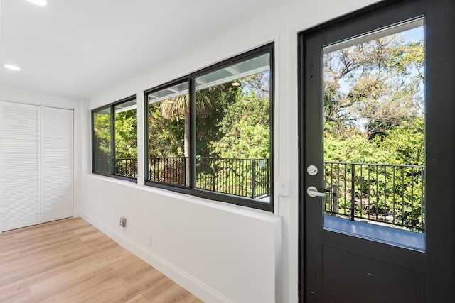 entryway featuring plenty of natural light and light wood-type flooring