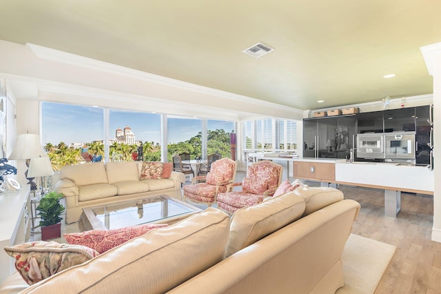 living room featuring light hardwood / wood-style flooring