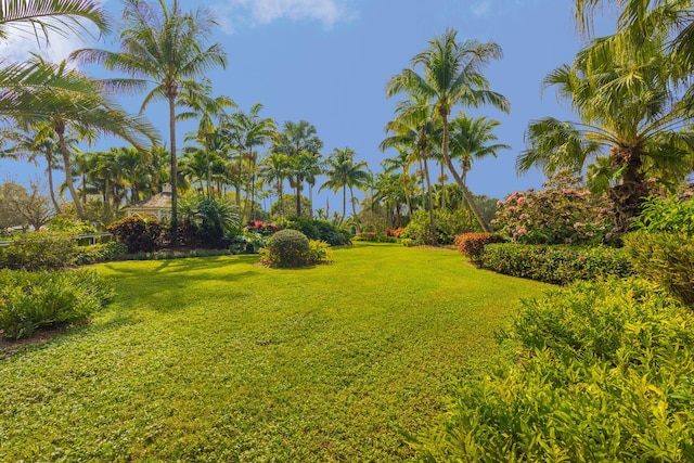 view of grassy yard