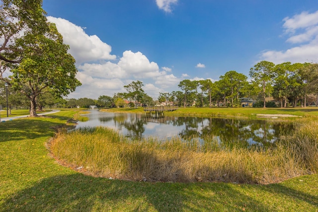 property view of water