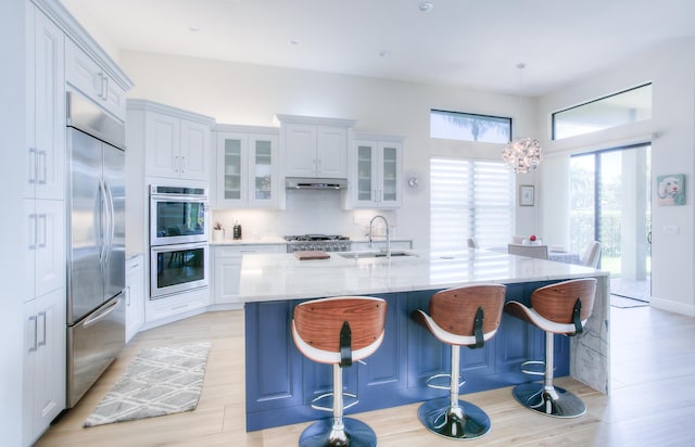 kitchen featuring appliances with stainless steel finishes, sink, white cabinets, a kitchen breakfast bar, and a large island with sink