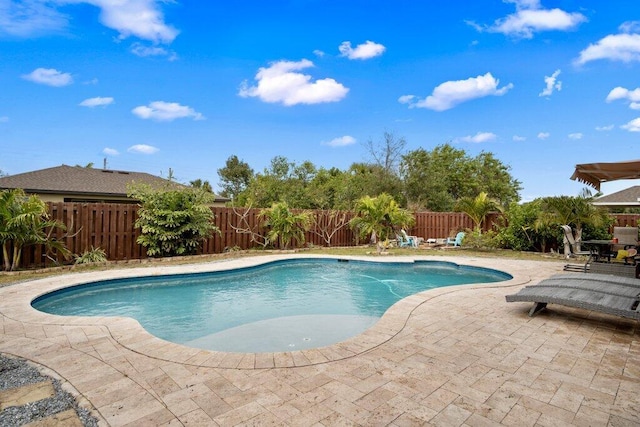 view of swimming pool with a patio