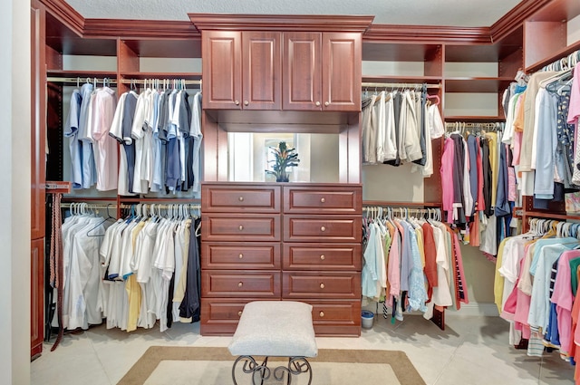 view of walk in closet