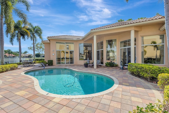 view of swimming pool with a patio