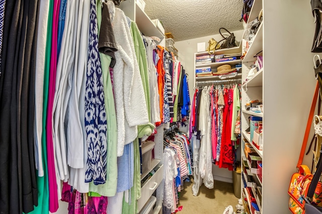 view of walk in closet