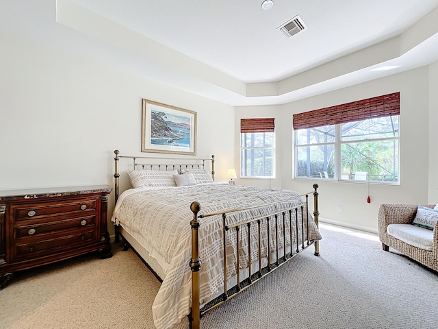 carpeted bedroom featuring a raised ceiling