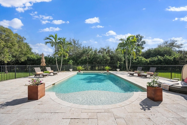 view of swimming pool featuring a patio area