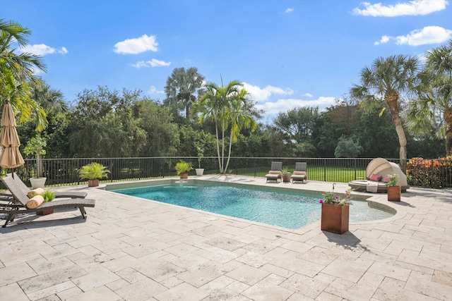 view of swimming pool featuring a patio