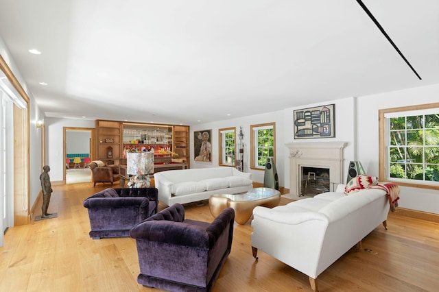 living room featuring light wood-type flooring