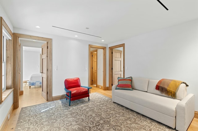 living room featuring light wood-type flooring