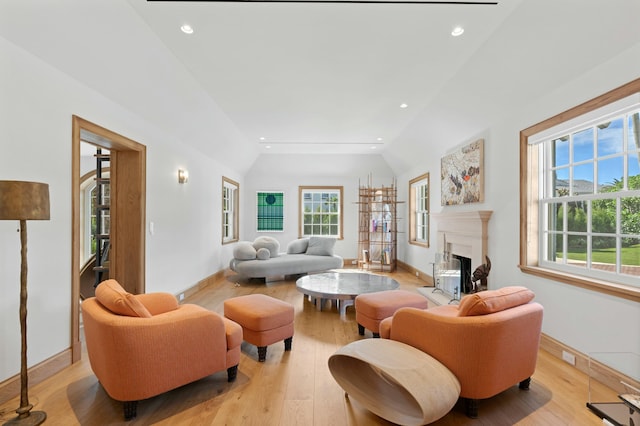 living room featuring vaulted ceiling and light hardwood / wood-style floors