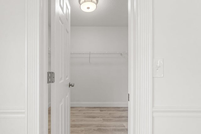 walk in closet with light wood-type flooring