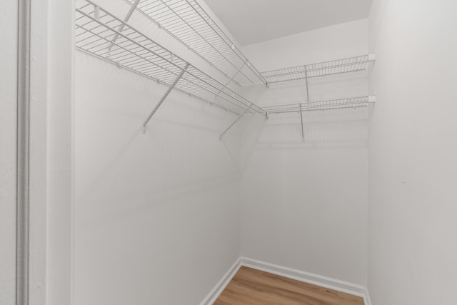 walk in closet featuring hardwood / wood-style flooring