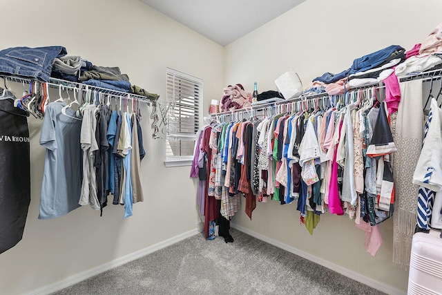 walk in closet featuring carpet floors