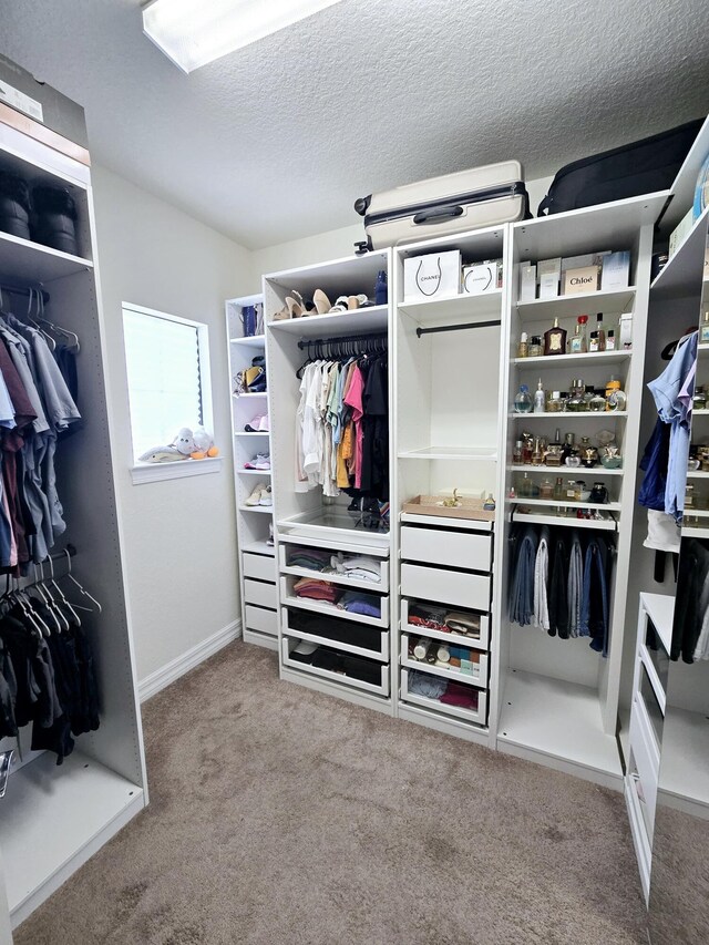 4582 San Fratello Cir, Lake Worth, FL 33467 - walk in closet with carpet flooring
