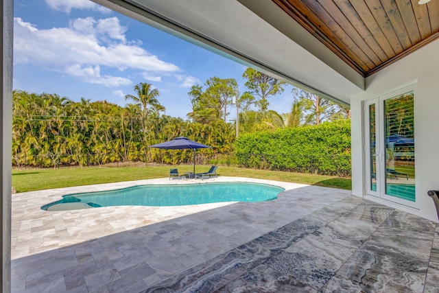 view of swimming pool with a yard and a patio area