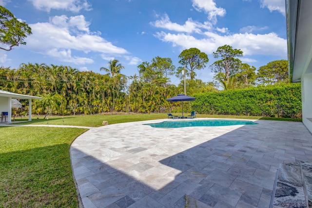 view of swimming pool featuring a lawn and a patio area