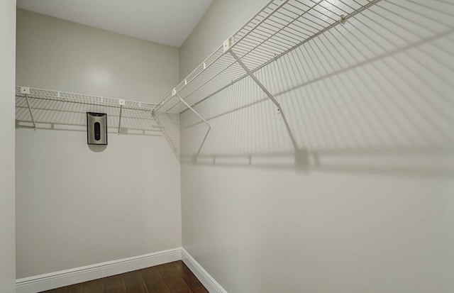 spacious closet featuring wood-type flooring