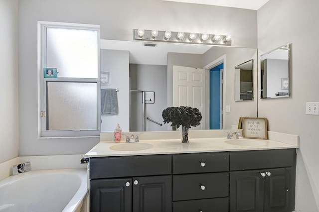 bathroom with vanity and a washtub