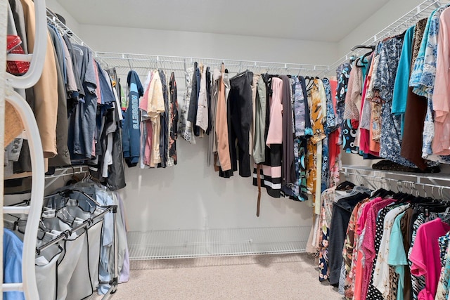 spacious closet with carpet flooring